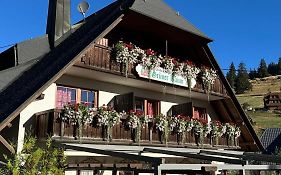 Hotel & Restaurant Gruener Baum - Die Gruene Oase Am Feldberg